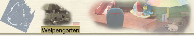 Banner_Welpengarten