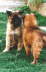 B-WG02051999001