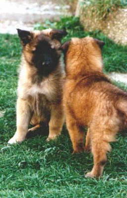 B-WG02051999001