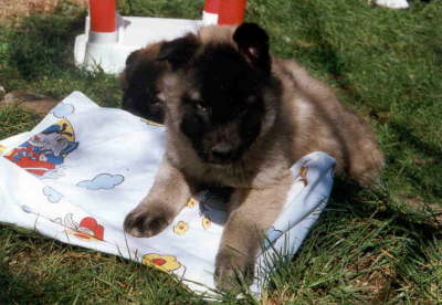 B-WG02051999003