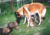 B-WG15051999001