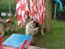 E-welpen 033 Kopie