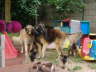 F-WG20052005 013