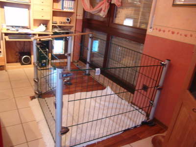 H-05022007005