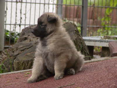 K-DSC06619 Kopie