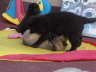 K-DSC06910 Kopie