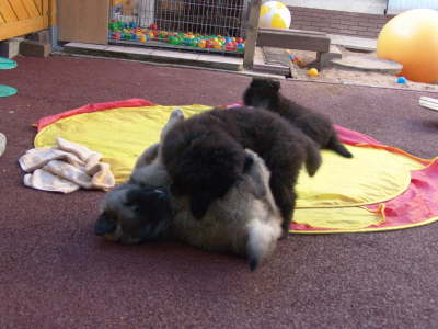 K-DSC06930 Kopie